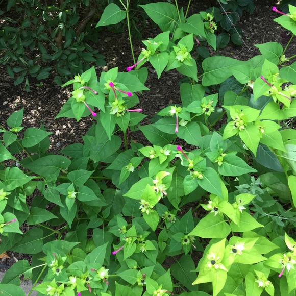 Meet your Posher, Anupam - Picture 1 of 1